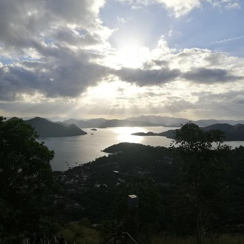 Photo #4159396