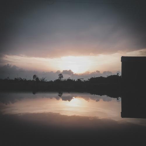 Photo #4159965