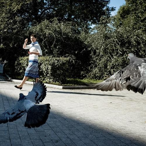 Photo #4160005