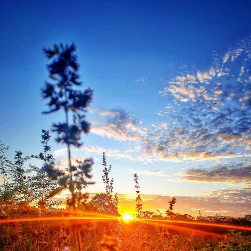 Photo #4160010