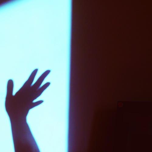 Photo #4160068