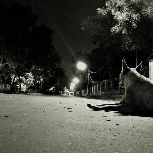 Waiting for the last night