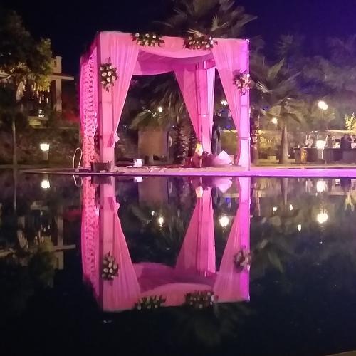 Photo #4161006