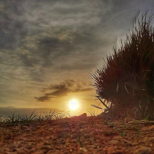 Photo #4161512