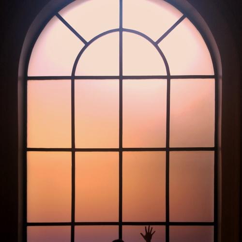 Photo #4162060