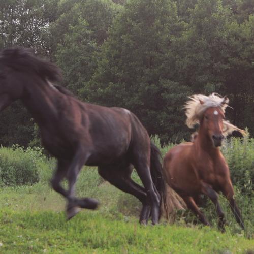 Photo #4162098