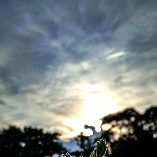 Photo #4162193