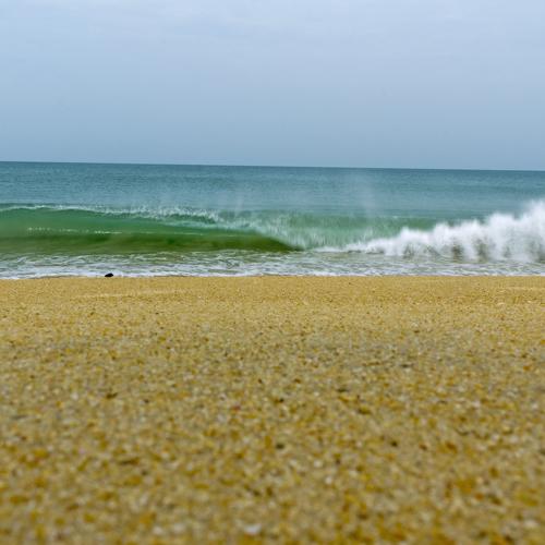 Photo #4162323
