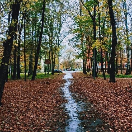 Photo #4162441