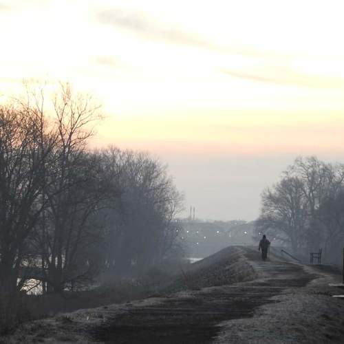 Photo #4162459