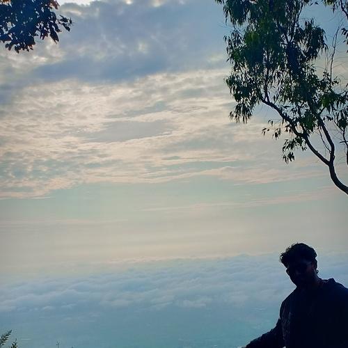 Photo #4162479