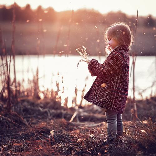 Photo #4162732