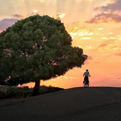 Photo #4162788