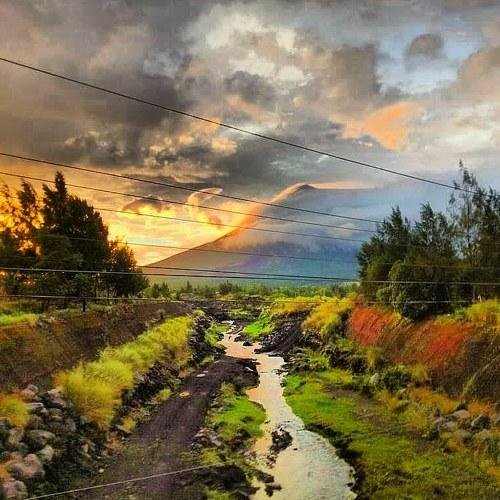 Photo #4162915