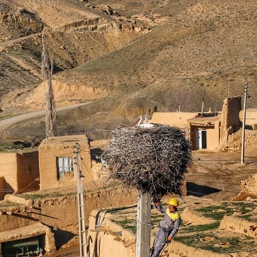Photo #4163023