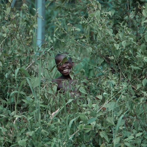 Photo #4163746
