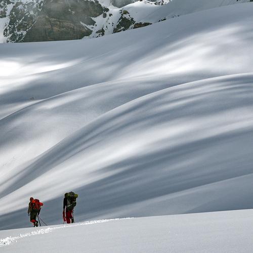 Photo #4164094