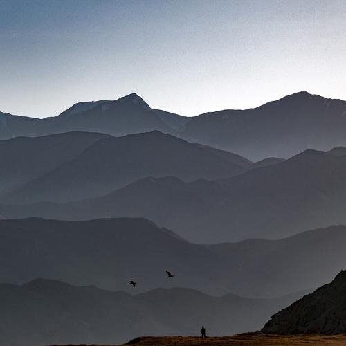 Photo #4164095