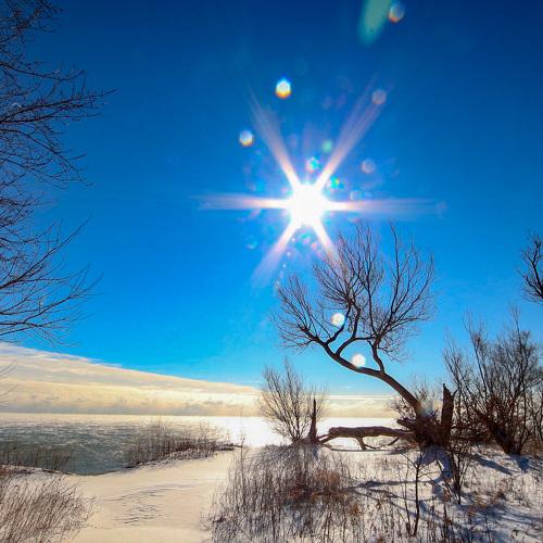 Photo #4164185