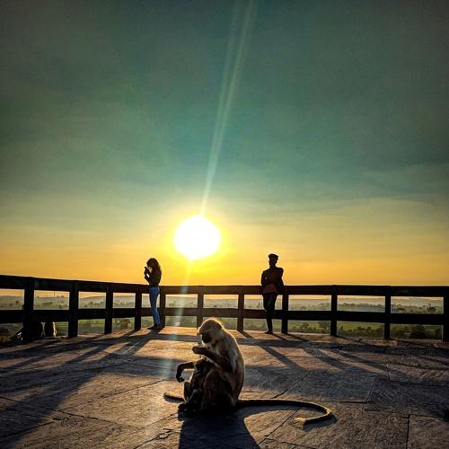 Photo #4164306