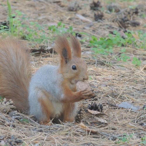 Photo #4164382
