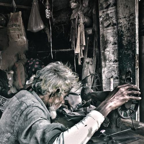 Photo #4164486