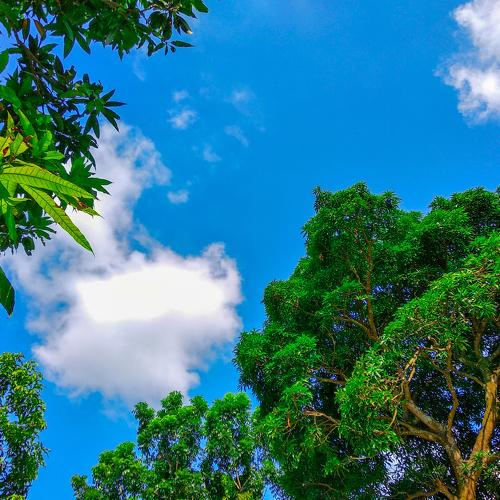 Photo #4164491