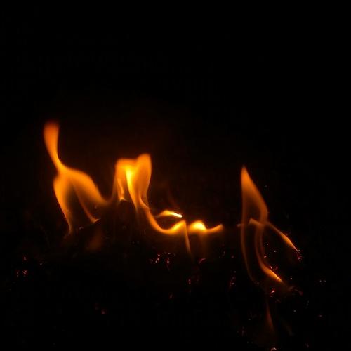 Photo #4164870