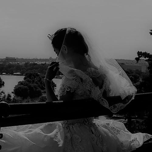 Photo #4164904