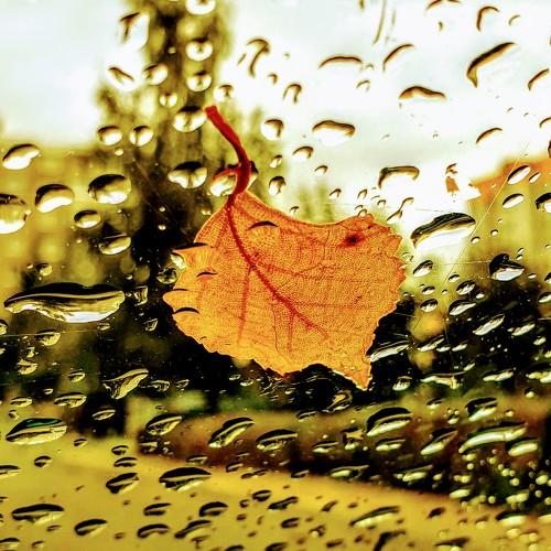 Photo #4165027