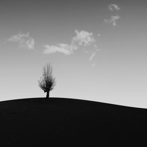 The wind will carry us