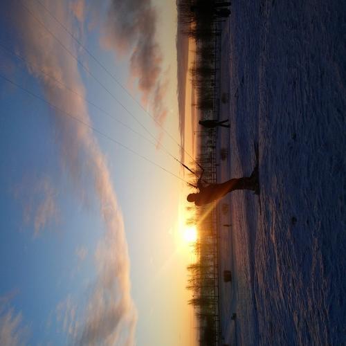 Photo #4165321