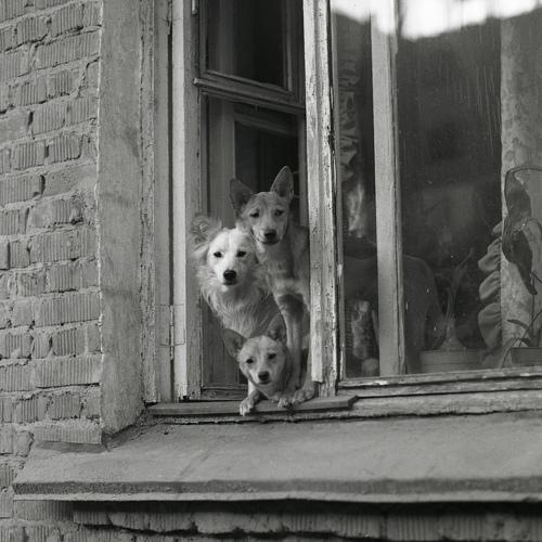 Photo #4165758