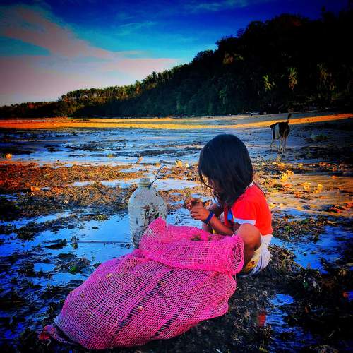 Photo #4165896