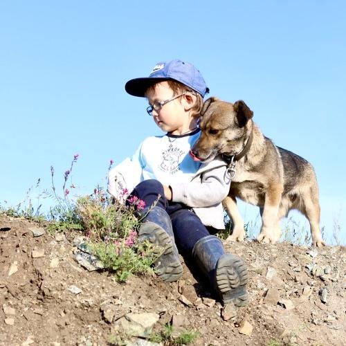 Photo #4165965