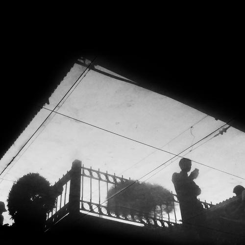 bouncing shadows