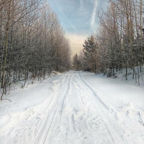 Photo #4166782