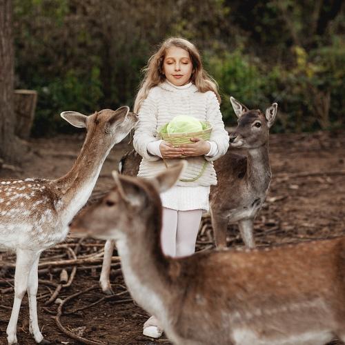 Photo #4166881