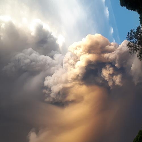 Photo #4167209