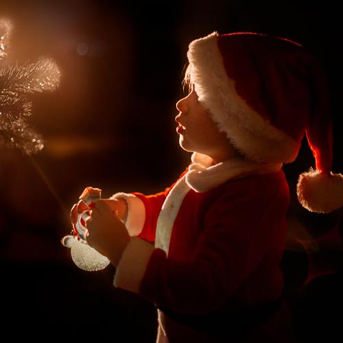 Photo #4167541