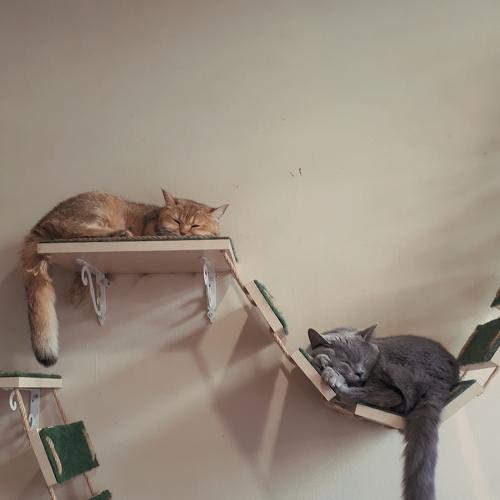 Photo #4167631