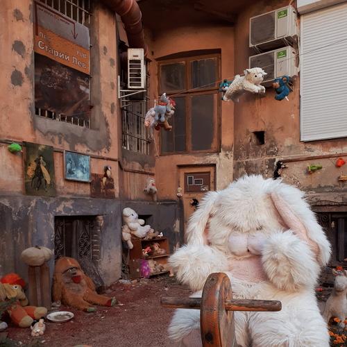 Photo #4167632