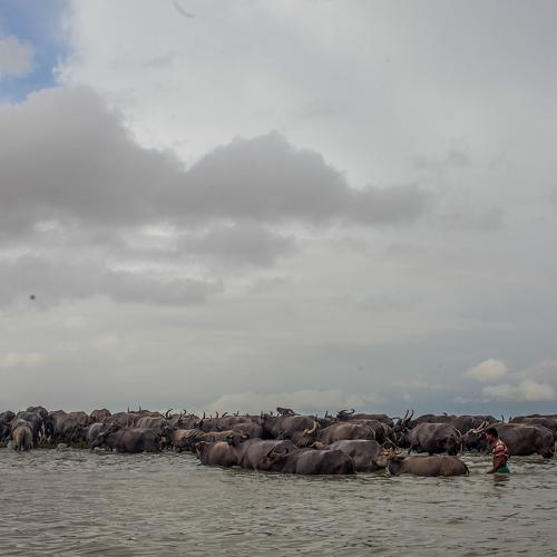 Photo #4167715