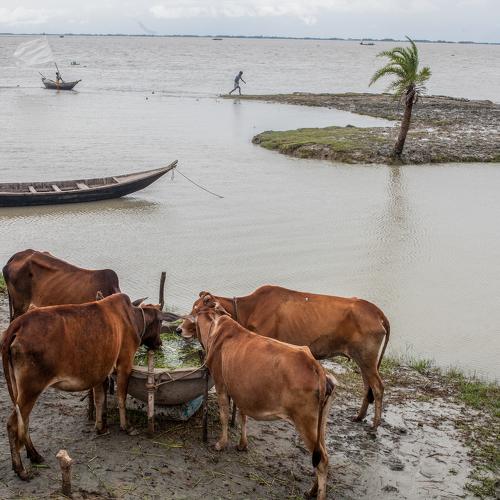global climate change and sufferings