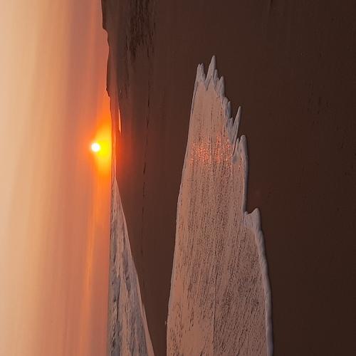 Photo #4168036