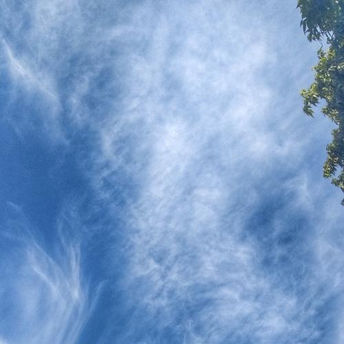 Photo #4168133