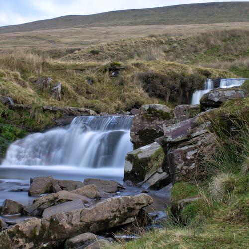 Photo #4168334