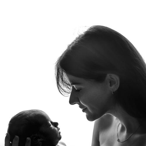 Photo #4168359