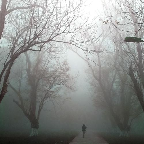 Alone in the cold