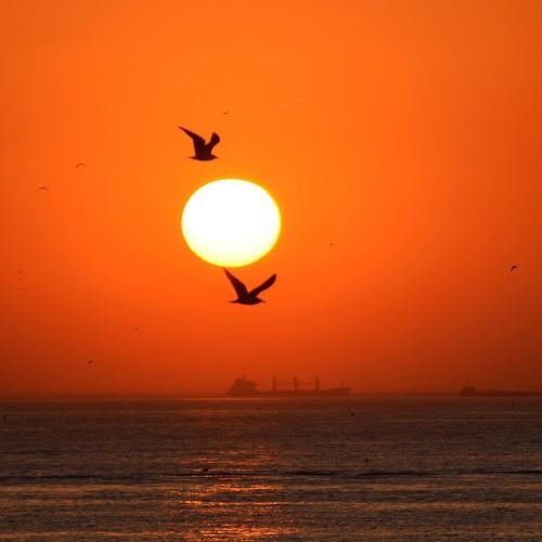 Photo #4169235